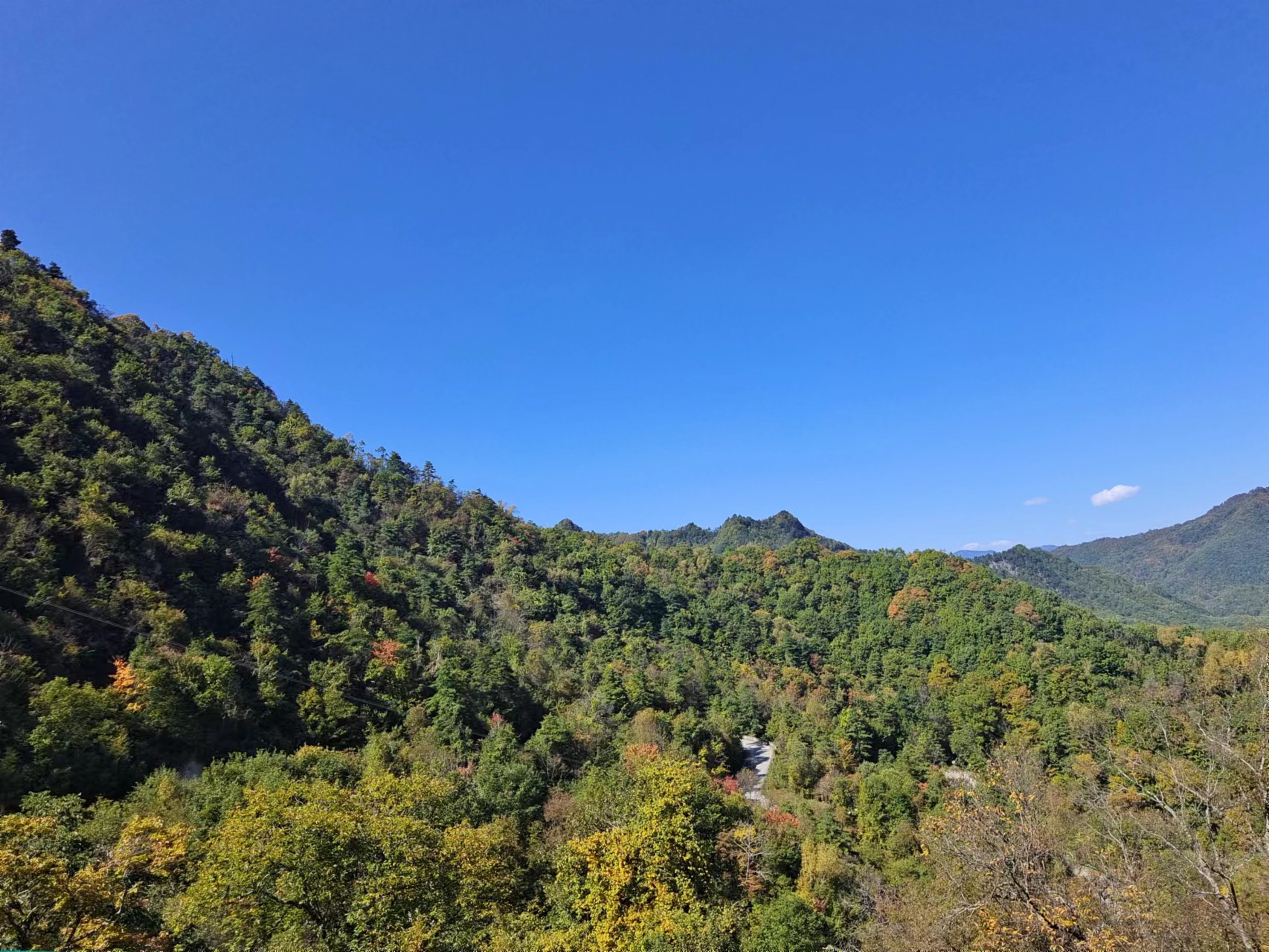 ��δ�ɽ�������