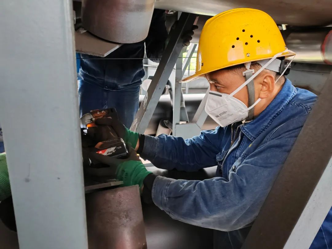 �Q�o���������y ������Ч������