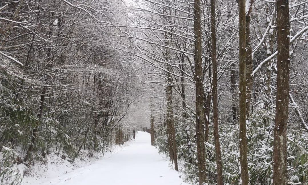 漢中冬季 漢中冬季