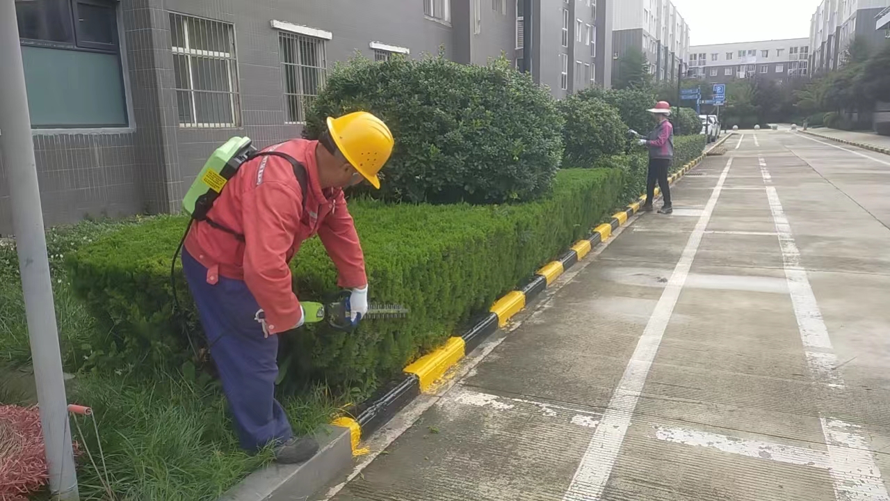 打響秋冬季綠化苗木養護組合拳,助力鋼城新發展 打響秋冬季綠化苗木養護組合拳,助力鋼城新發展