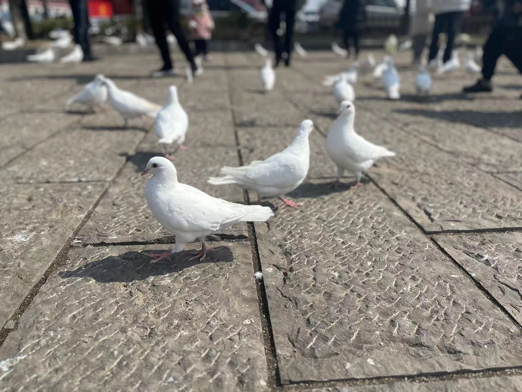 ���g����������