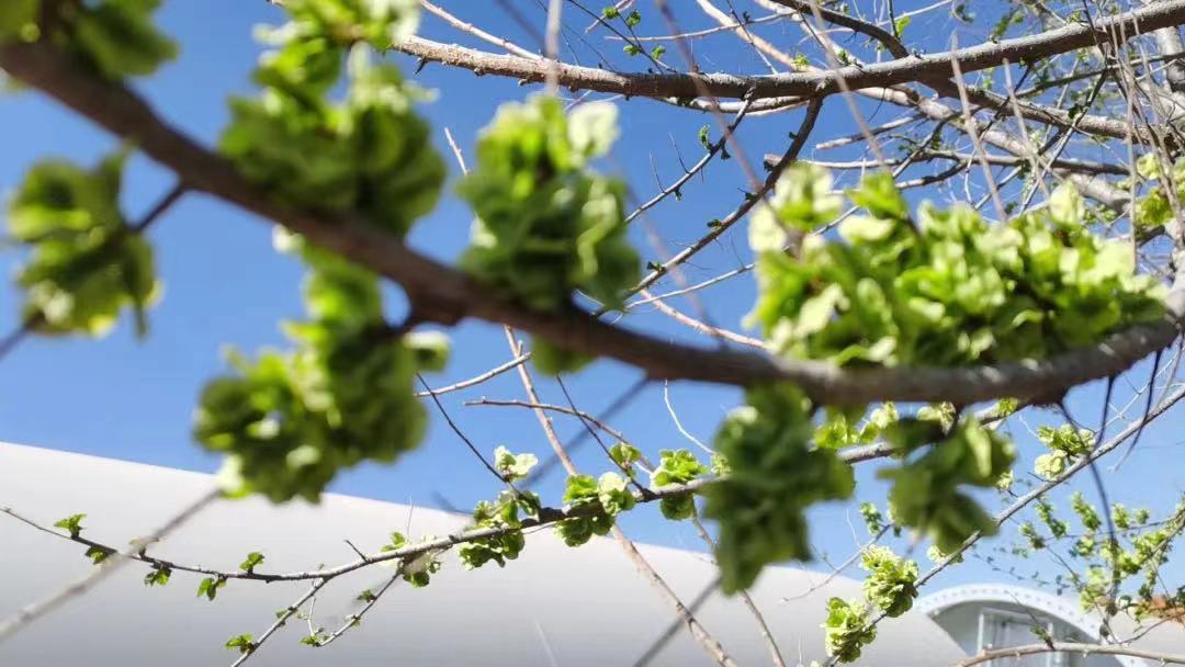 ӛ���е����X���