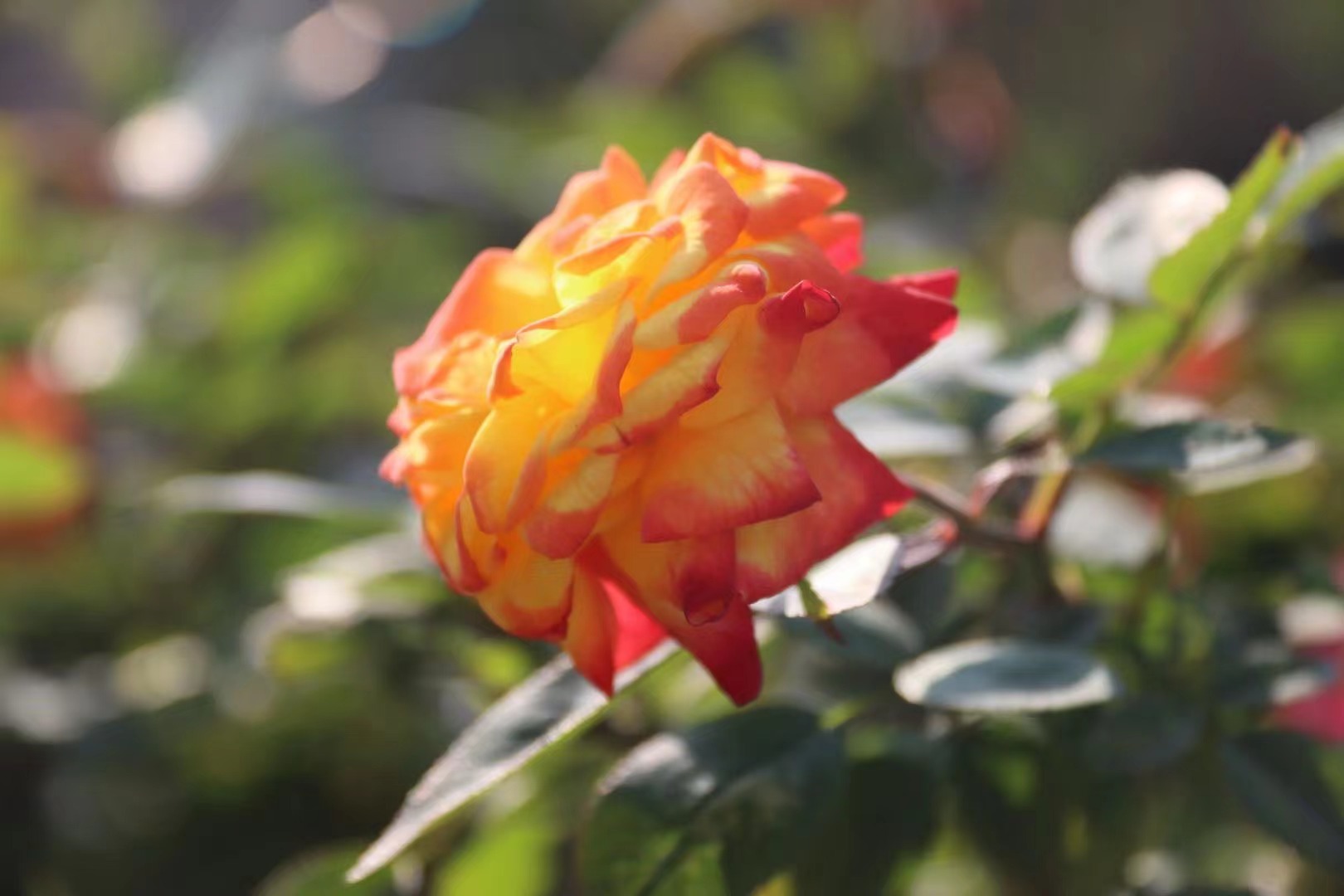 你要寫夏天就不能只寫夏天 你要寫夏天就不能只寫夏天