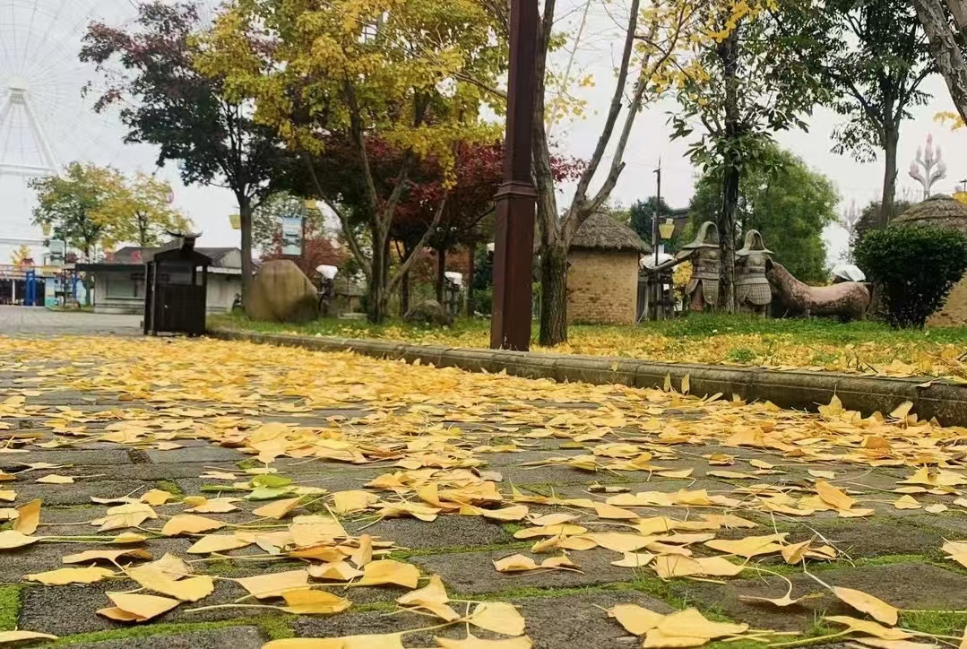 秋韻寒聲 秋韻寒聲