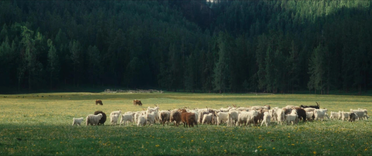 春天，我與讀書有個約定