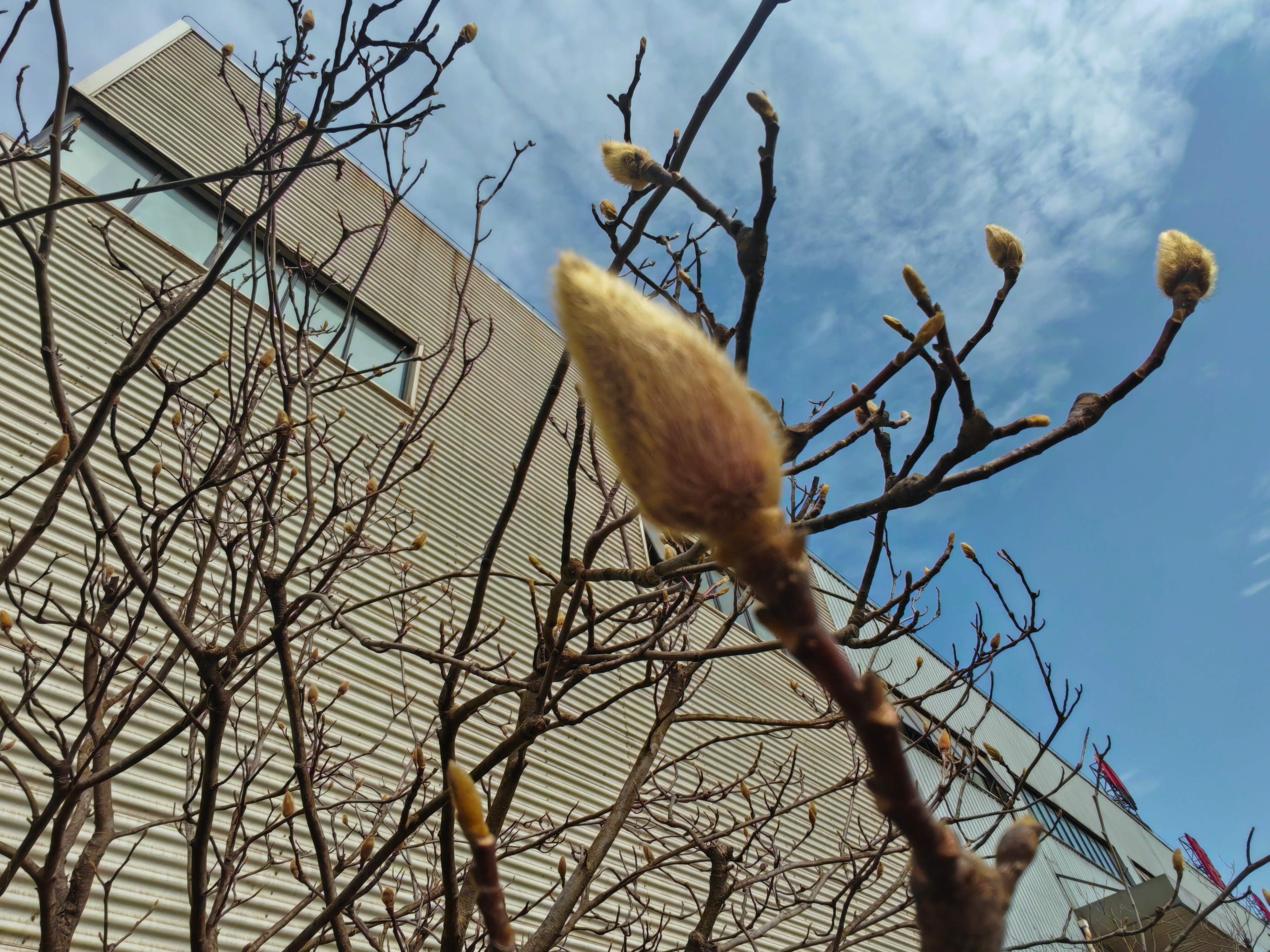 向著光，野蠻生長(zhǎng)