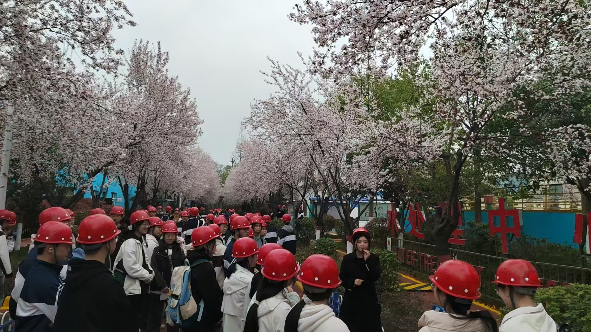 武侯中學(xué)百余名學(xué)生到公司參觀研學(xué)