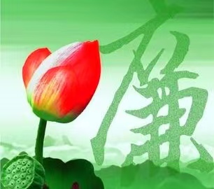 看鋼里廉潔花 看鋼里廉潔花