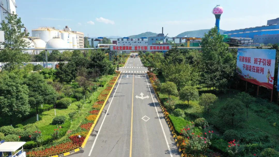 這是春嗎?這不是春 這是春嗎?這不是春