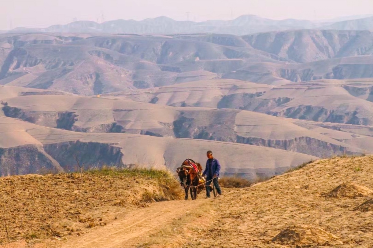 幸福用勤勞書寫 幸福用勤勞書寫