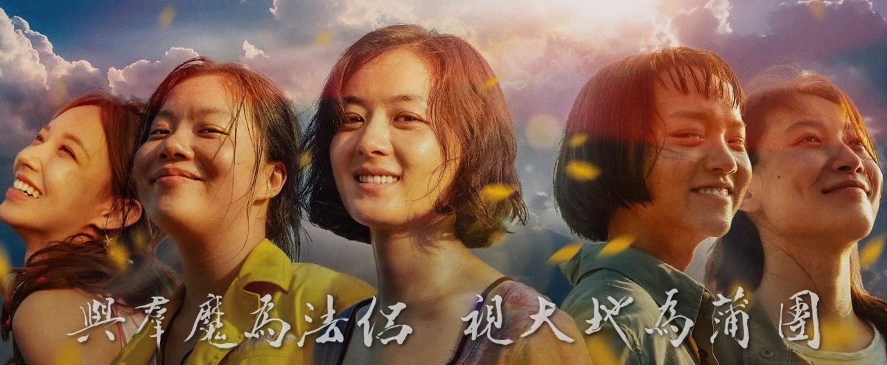 向陽而生,無畏綻放-觀《向陽花》有感 向陽而生,無畏綻放-觀《向陽花》有感