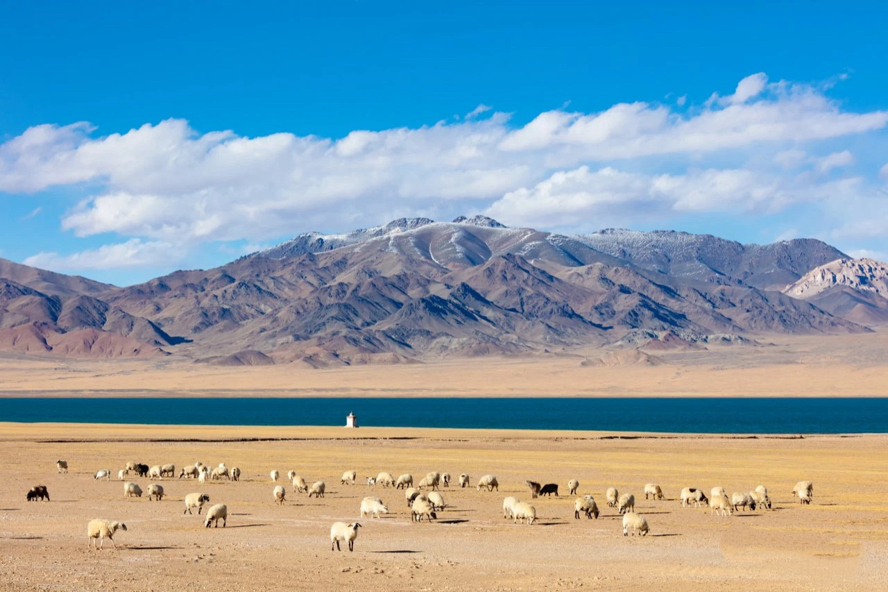 獨向曠野處，心歸寂靜時