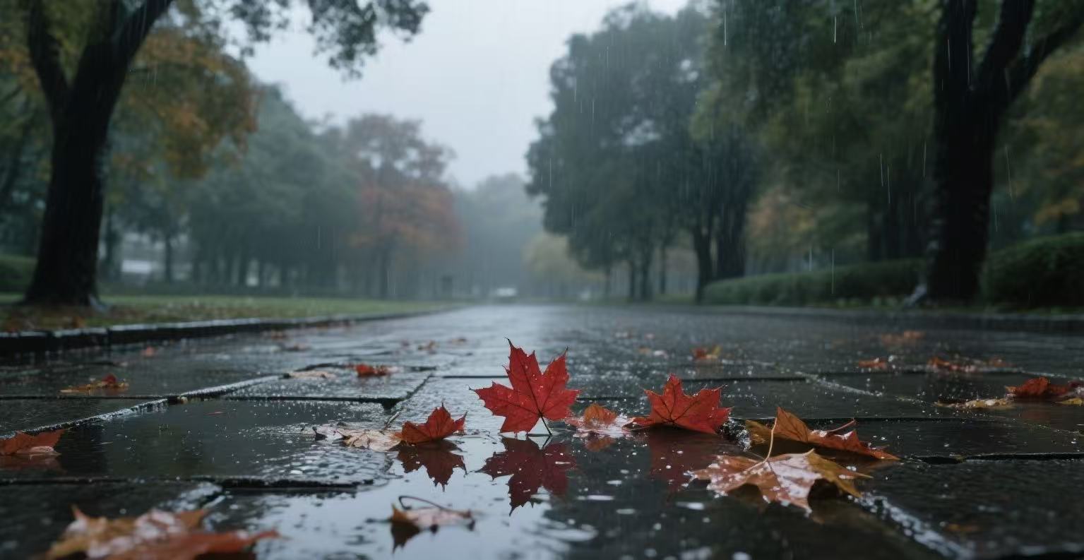 八月等雨等風涼 八月等雨等風涼