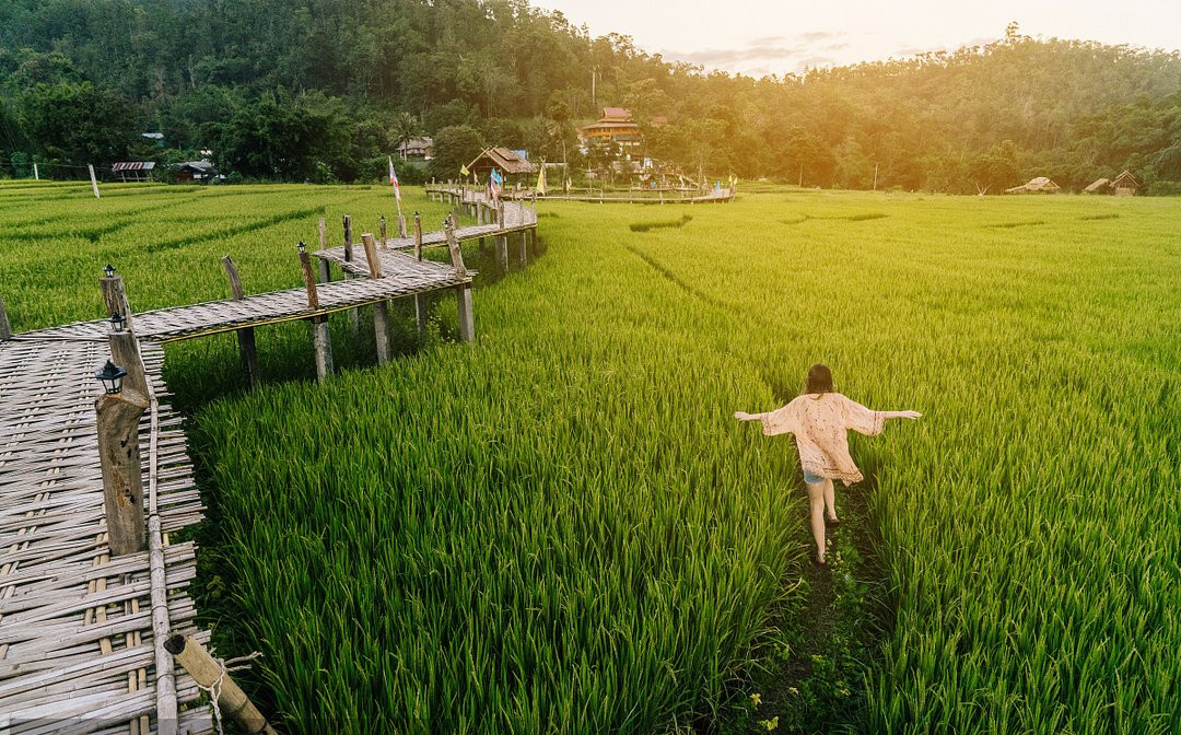 【鋼城文苑】回鄉見聞—新農村的魅力 【鋼城文苑】回鄉見聞—新農村的魅力