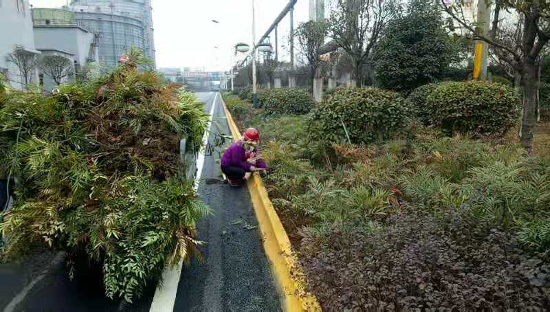 【美麗漢鋼】春暖花開季 護綠增綠正當(dāng)時 ——漢鋼公司打響春季綠化美化攻堅戰(zhàn) 【美麗漢鋼】春暖花開季 護綠增綠正當(dāng)時 ——漢鋼公司打響春季綠化美化攻堅戰(zhàn)