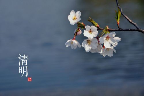 【鋼城文苑】菩薩蠻.清明祭祖 【鋼城文苑】菩薩蠻.清明祭祖