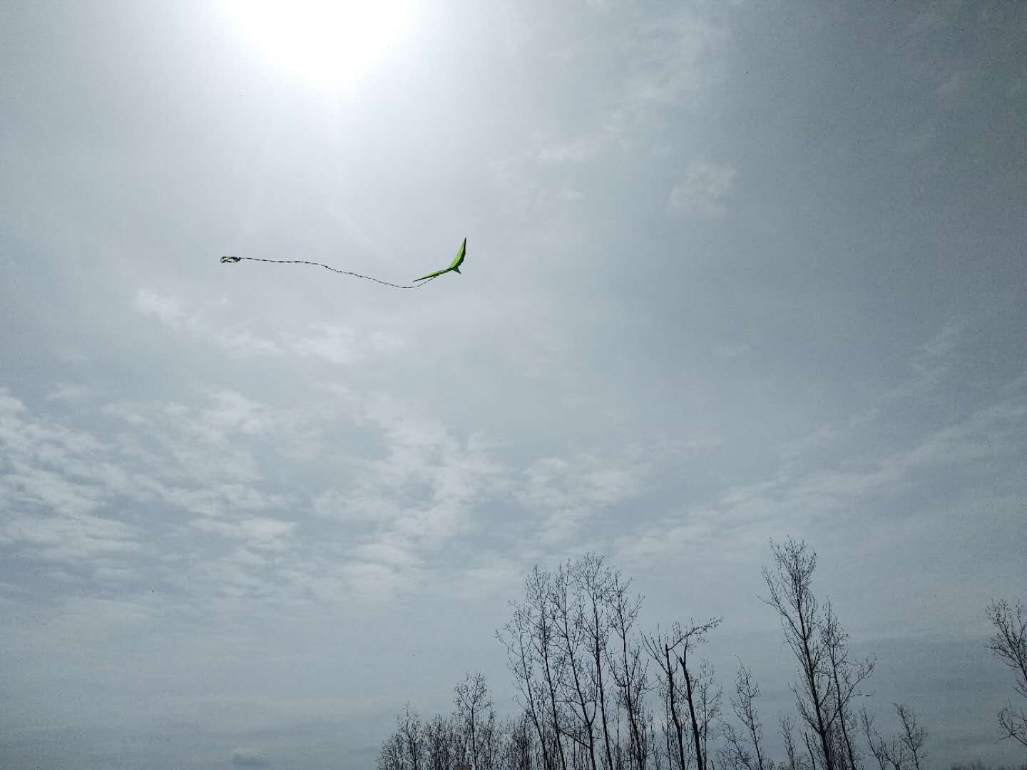 【鋼城文苑】有始有終 美在中途 【鋼城文苑】有始有終 美在中途