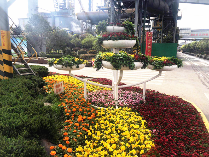 【美麗漢鋼】美翻了，一起到漢鋼來賞花！