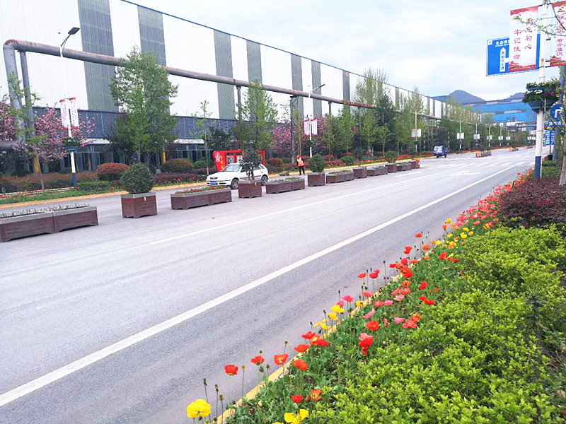 【美麗漢鋼】美翻了,一起到漢鋼踏春觀花吧! 【美麗漢鋼】美翻了,一起到漢鋼踏春觀花吧!