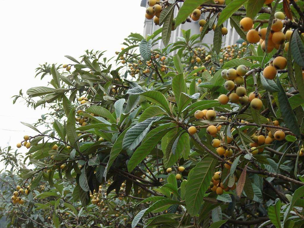 ��䓳���Է����������