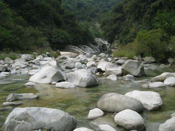 【鋼城文苑】夏 游 【鋼城文苑】夏 游