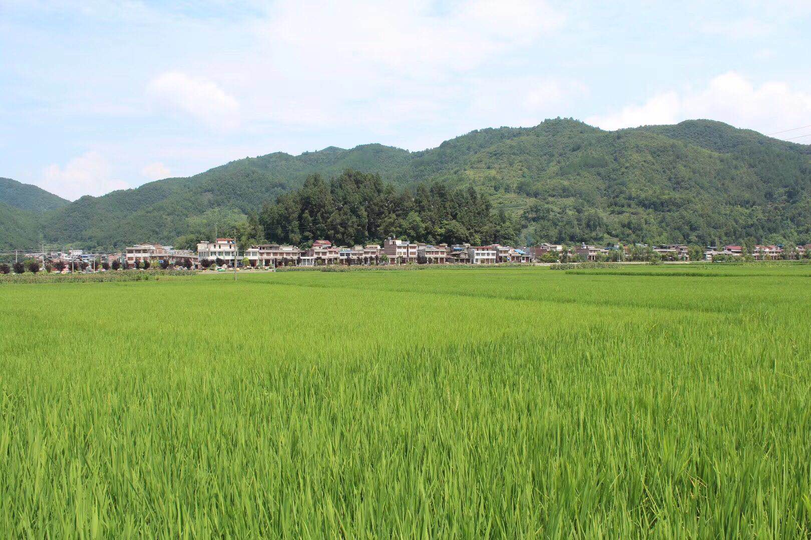 【鋼城文苑】七月 【鋼城文苑】七月