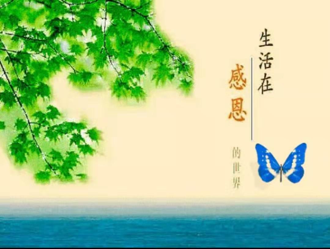 【鋼城文苑】我的父親 【鋼城文苑】我的父親