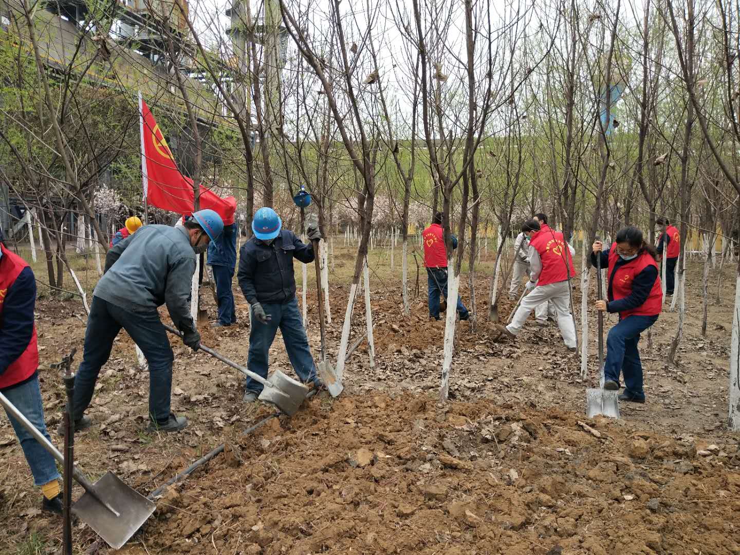 【美麗漢鋼】春花春草春意濃 鋼城三月春如畫 【美麗漢鋼】春花春草春意濃 鋼城三月春如畫