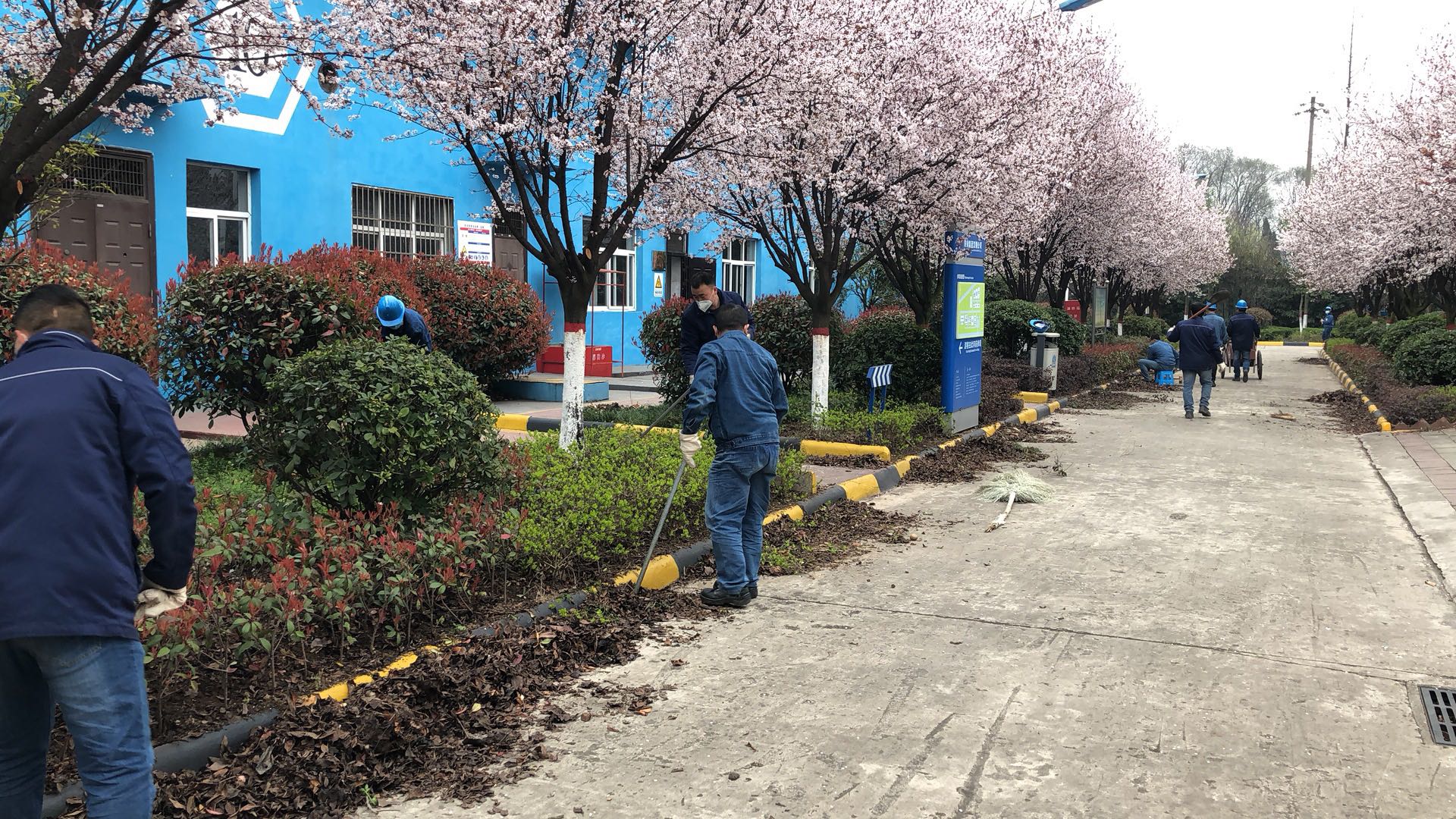 【美麗漢鋼】公司春季綠化美化工作開展如火如荼 【美麗漢鋼】公司春季綠化美化工作開展如火如荼