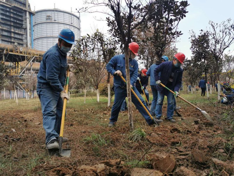 【美麗漢鋼】公司春季綠化美化工作開展如火如荼 【美麗漢鋼】公司春季綠化美化工作開展如火如荼