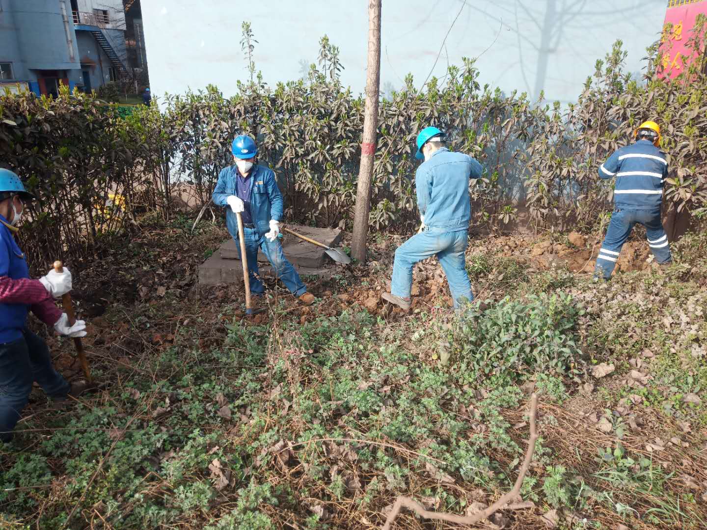 【美麗漢鋼】公司春季綠化美化工作開展如火如荼 【美麗漢鋼】公司春季綠化美化工作開展如火如荼