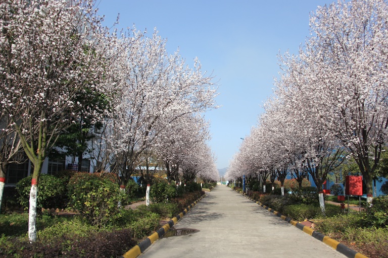 【美麗漢鋼】用節能環保點亮漢水之濱最美“現代花園”